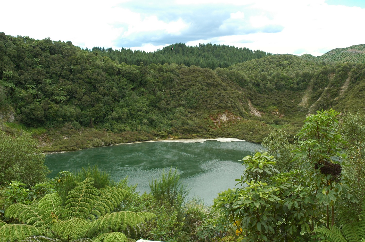 353   03 02   Rotorua + omgeving